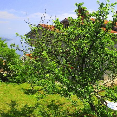 Guesthouse Bellavista 오파티아 외부 사진